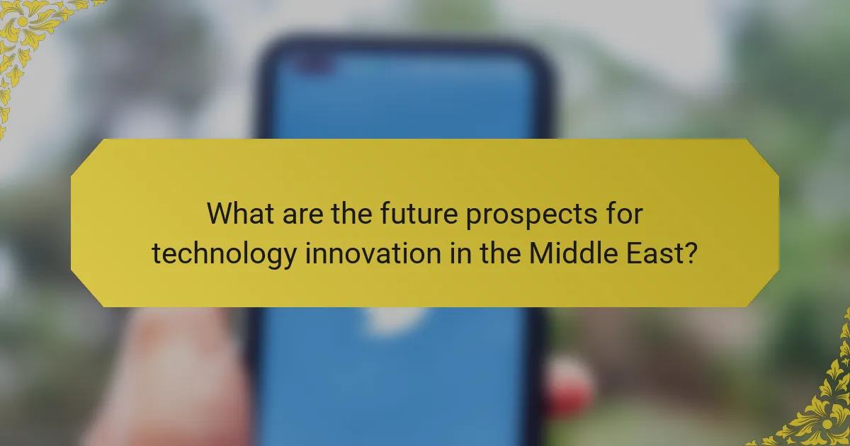 What are the future prospects for technology innovation in the Middle East?