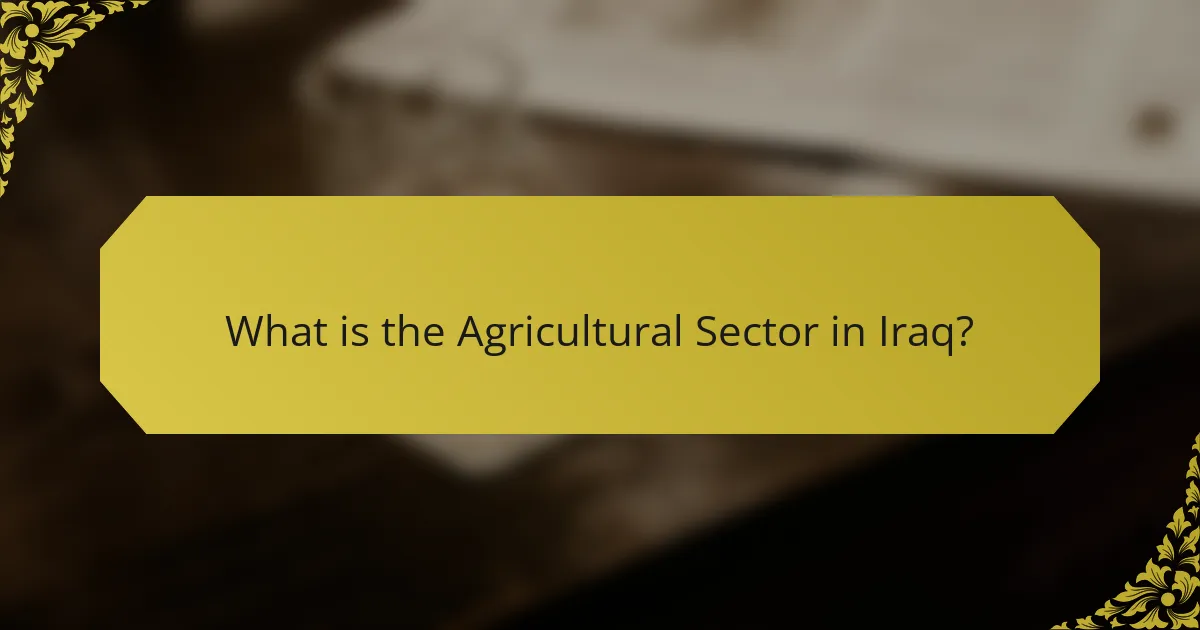 What is the Agricultural Sector in Iraq?