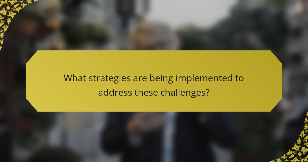 What strategies are being implemented to address these challenges?