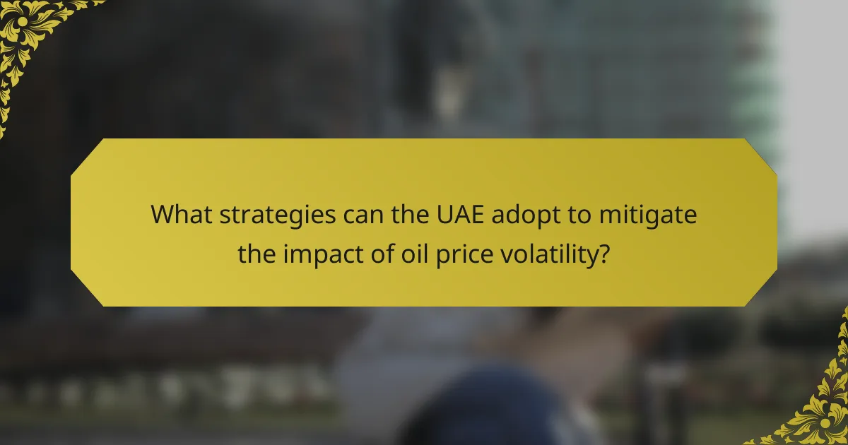 What strategies can the UAE adopt to mitigate the impact of oil price volatility?